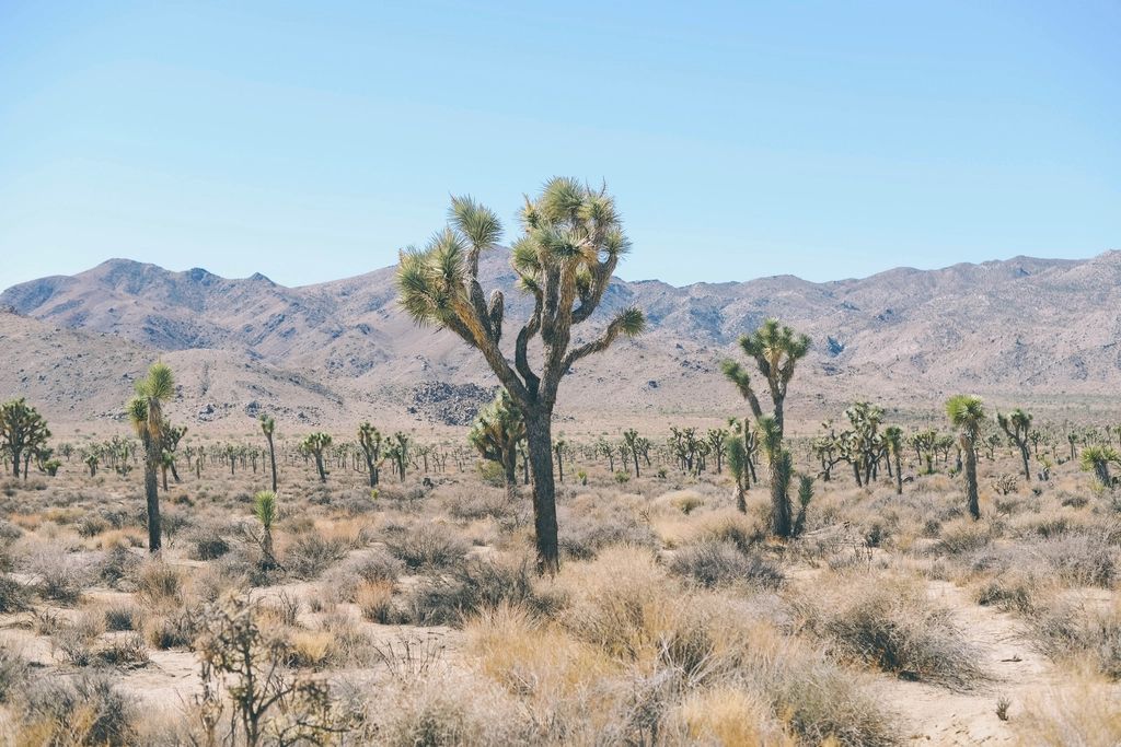Open desert running to the hills